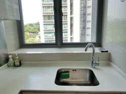 Park Infinia At Wee Nam (D11), Condominium #591411371